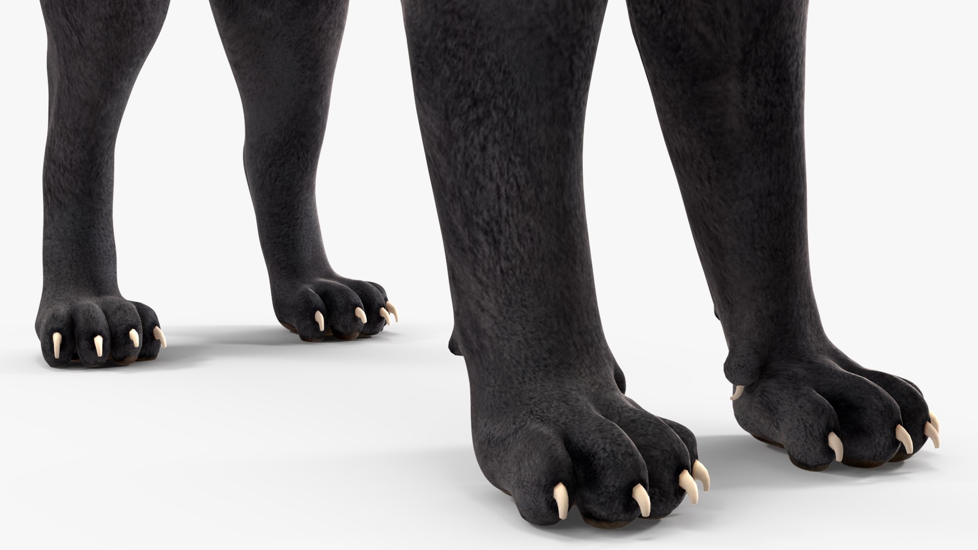 Black Panther Rigged for Maya 3D model https://p.turbosquid.com/ts-thumb/lw/SvWRPU/Tt/blackpantherriggedformaya3dmodel037/jpg/1720552197/1920x1080/fit_q87/1559526c511dbe30e3110073a4bb7806482db0fe/blackpantherriggedformaya3dmodel037.jpg
