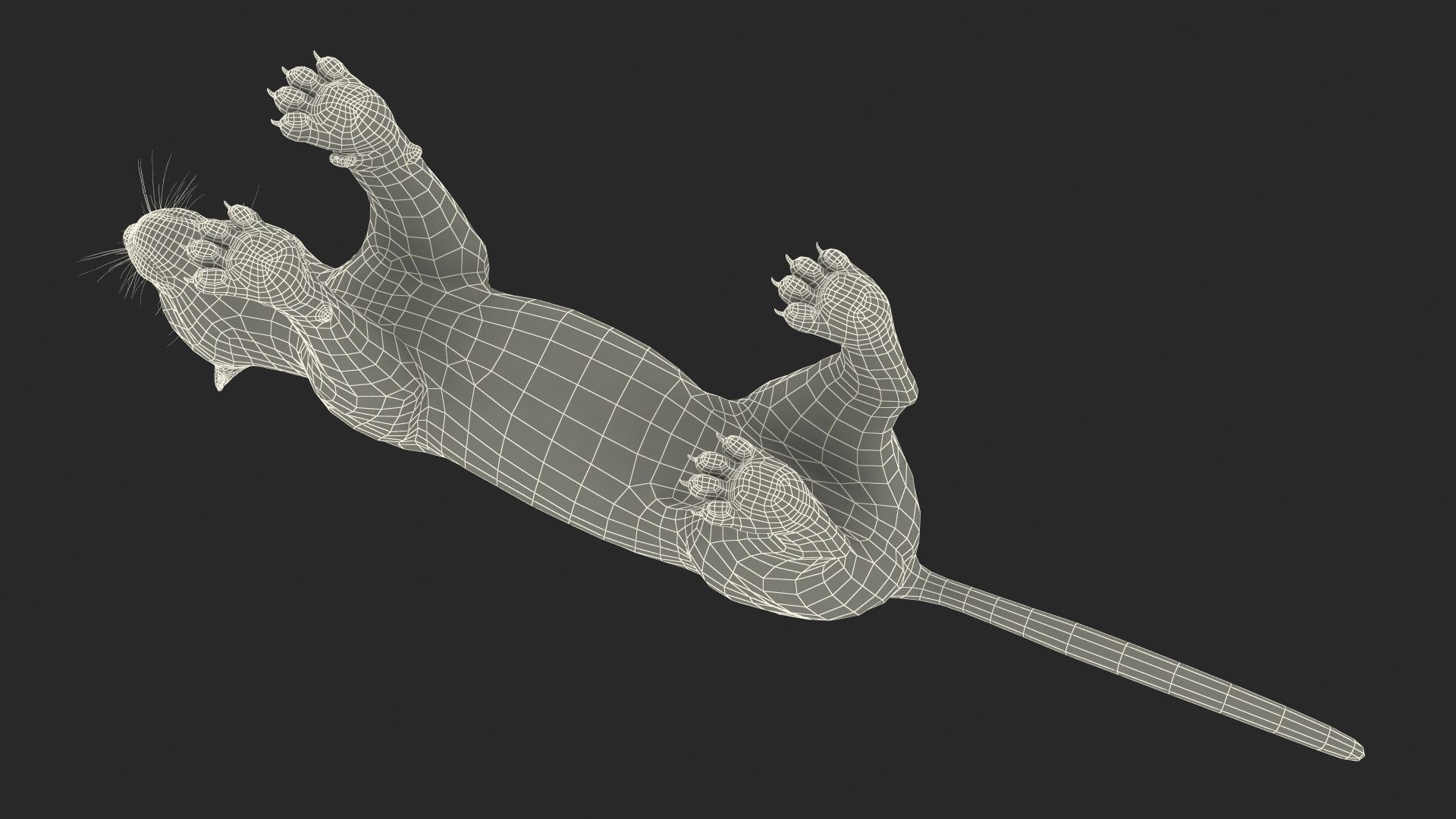 Black Panther Rigged for Maya 3D model https://p.turbosquid.com/ts-thumb/lw/SvWRPU/YQ/blackpantherriggedformaya3dmodel052/jpg/1720552255/1920x1080/fit_q87/4f43fcc28fbd76d7bd8c138e2f4fe69645cfea93/blackpantherriggedformaya3dmodel052.jpg