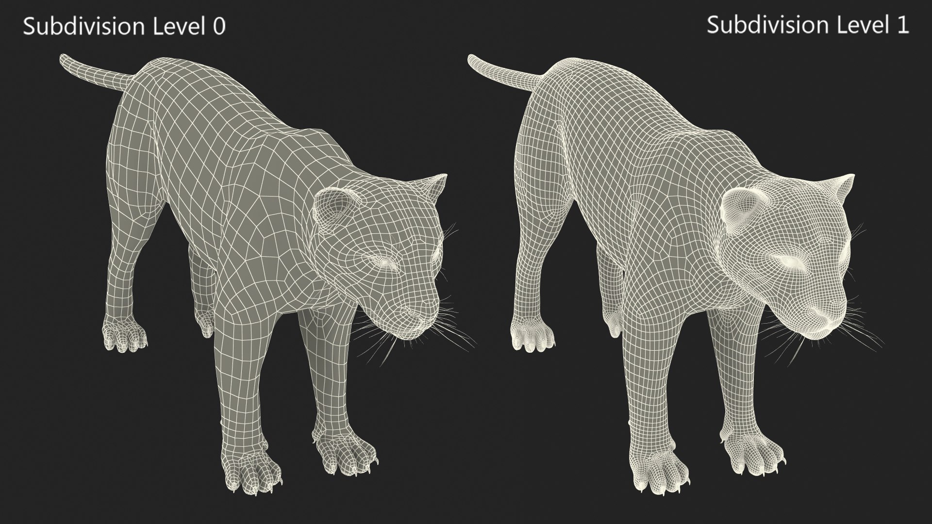 Black Panther Rigged for Maya 3D model https://p.turbosquid.com/ts-thumb/lw/SvWRPU/bt/blackpantherriggedformaya3dmodel045/jpg/1720552229/1920x1080/fit_q87/1240a182cf370228a14d2c4acc92c9f5934f0d35/blackpantherriggedformaya3dmodel045.jpg