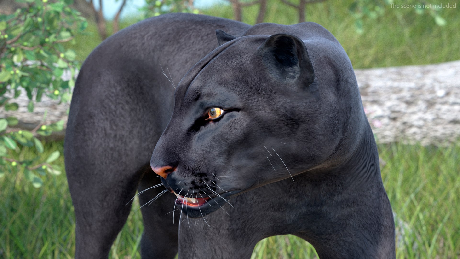 Black Panther Rigged for Maya 3D model https://p.turbosquid.com/ts-thumb/lw/SvWRPU/gn/blackpantherriggedformaya3dmodel011/jpg/1720552092/1920x1080/fit_q87/b020562b1ec937c46fee65f7a6e552ad02b76cd6/blackpantherriggedformaya3dmodel011.jpg