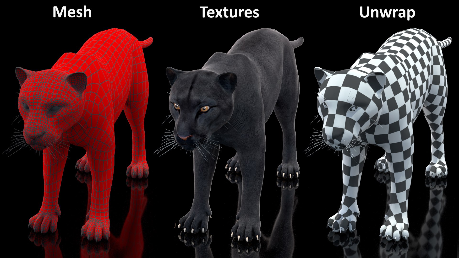 Black Panther Rigged for Maya 3D model https://p.turbosquid.com/ts-thumb/lw/SvWRPU/k9/blackpantherriggedformaya3dmodel043/jpg/1720552221/1920x1080/fit_q87/a2dca17a42bbf91eee241290723ca5eb4b2077fb/blackpantherriggedformaya3dmodel043.jpg