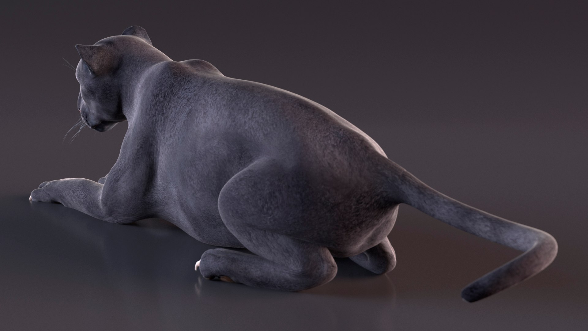 Black Panther Rigged for Maya 3D model https://p.turbosquid.com/ts-thumb/lw/SvWRPU/mi/blackpantherriggedformaya3dmodel015/jpg/1720552110/1920x1080/fit_q87/6151c40e1af9212fee498cf4fdb01cab3e3b797b/blackpantherriggedformaya3dmodel015.jpg