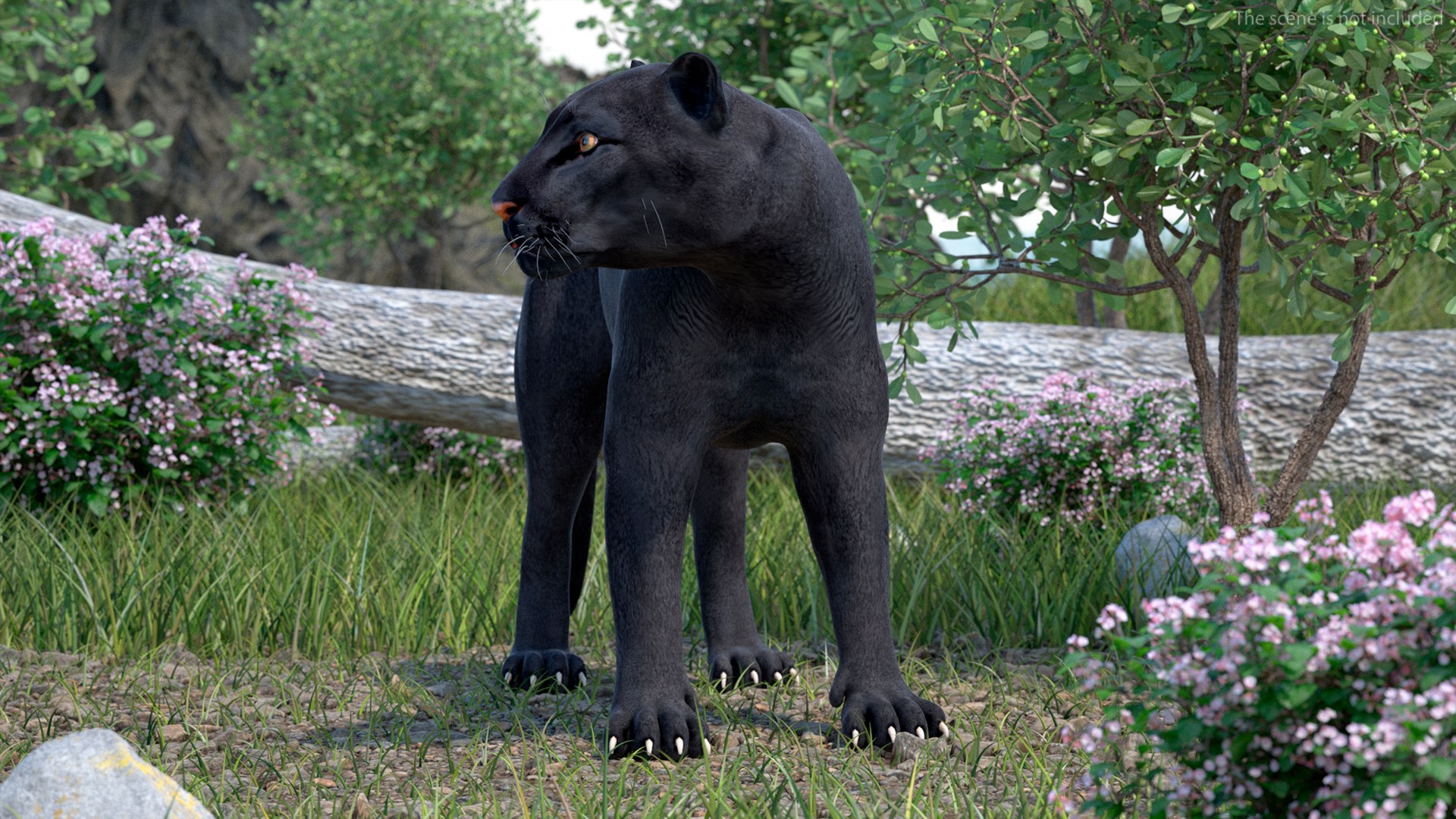 Black Panther Rigged for Maya 3D model preview