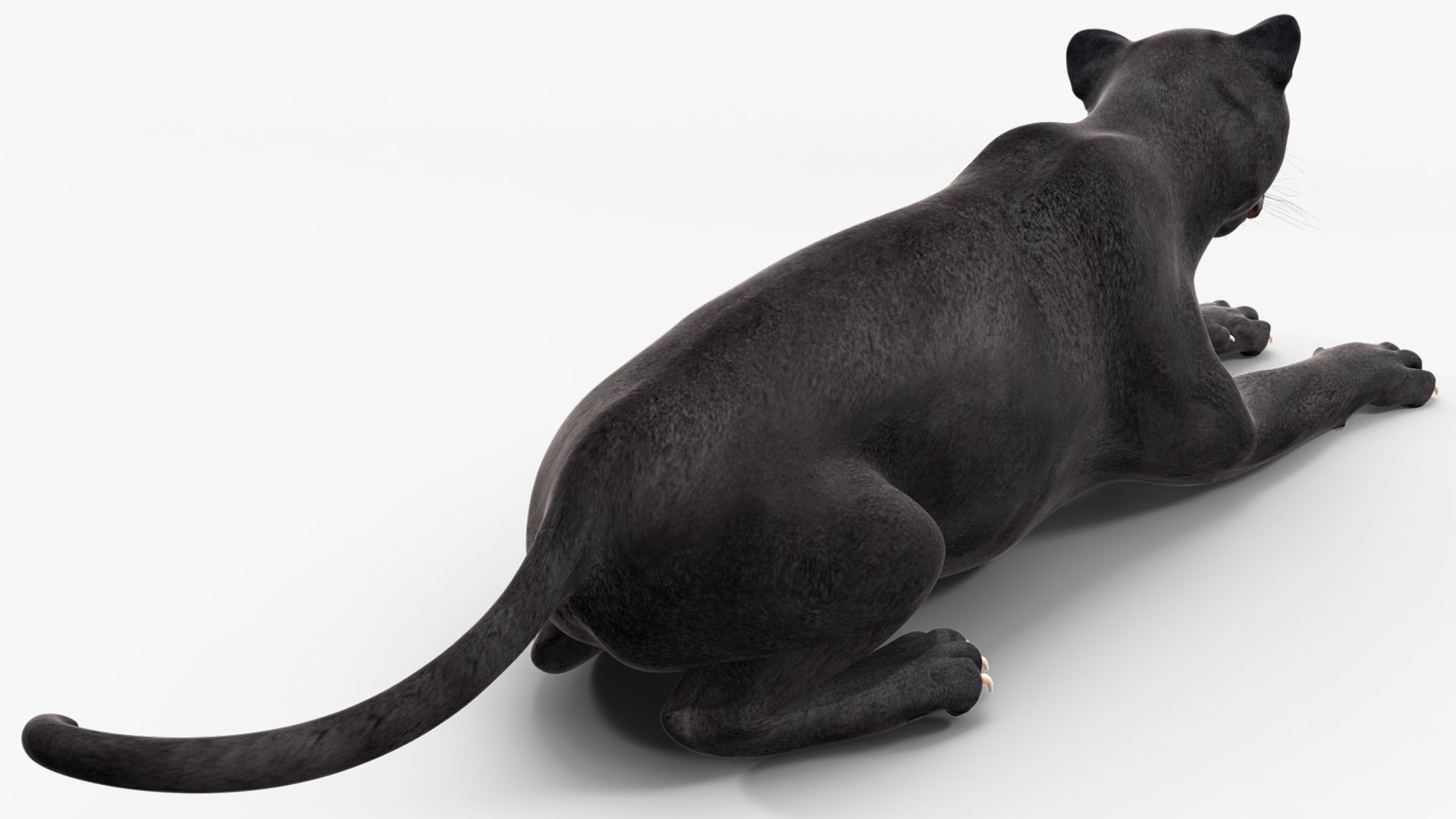 Black Panther Rigged for Maya 3D model https://p.turbosquid.com/ts-thumb/lw/SvWRPU/r9/blackpantherriggedformaya3dmodel025/jpg/1720552149/1920x1080/fit_q87/0668f743c011c5652c8c3314874a4b593d130b86/blackpantherriggedformaya3dmodel025.jpg