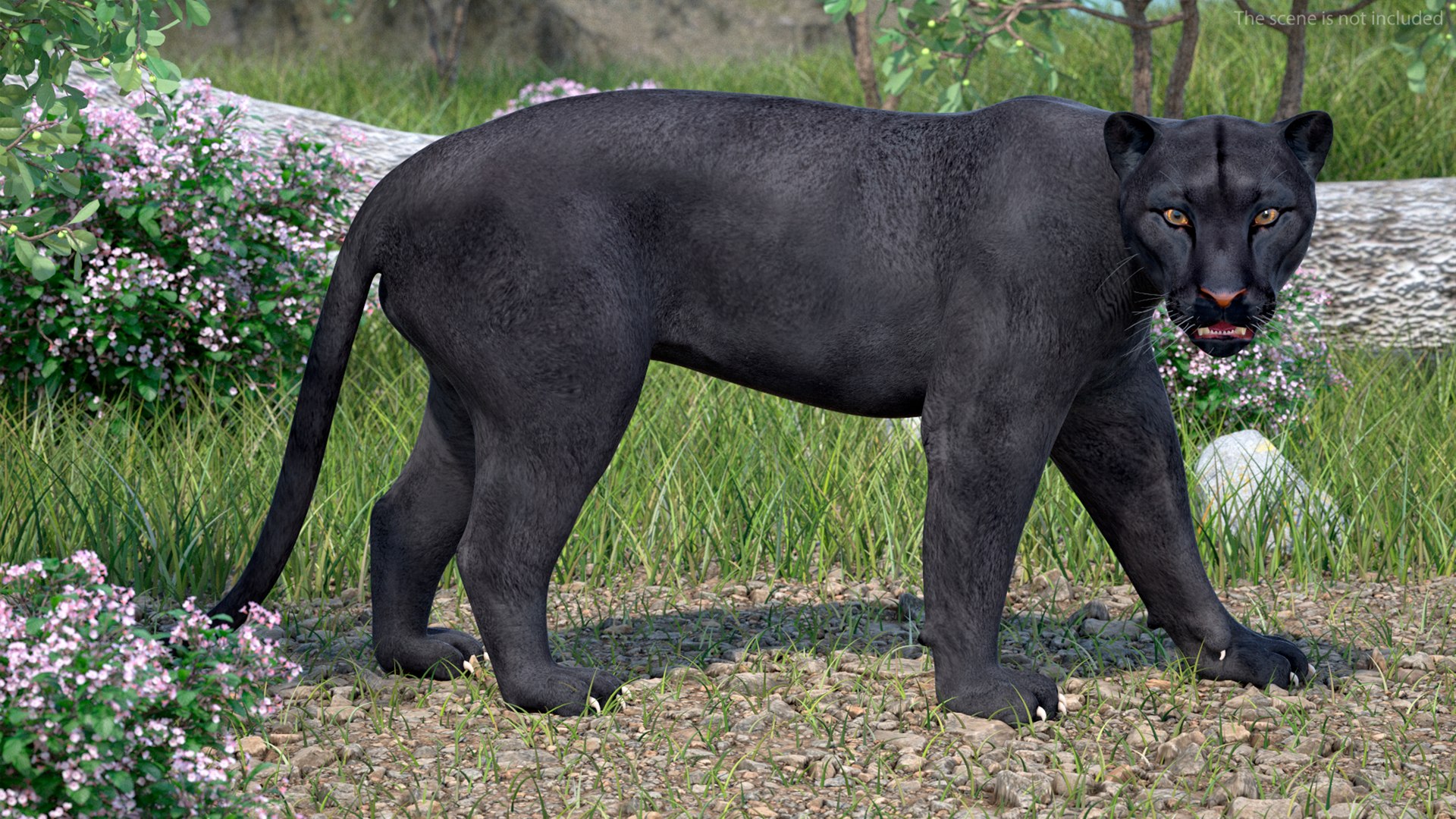 Black Panther Rigged for Maya 3D model https://p.turbosquid.com/ts-thumb/lw/SvWRPU/sj/blackpantherriggedformaya3dmodel004/jpg/1720552054/1920x1080/fit_q87/f4f225b941fecc64d9487e59bce4869c09136eb2/blackpantherriggedformaya3dmodel004.jpg