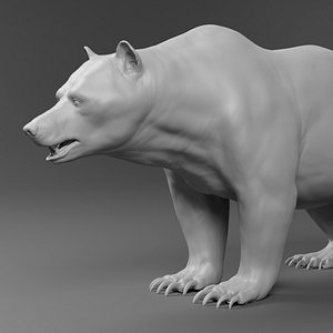 Bear basemesh
