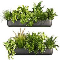 Collection plant vol 417 - indoor - fern - banana - balcony - 3dmax - cinema 4d