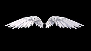 Angel wingsrigged