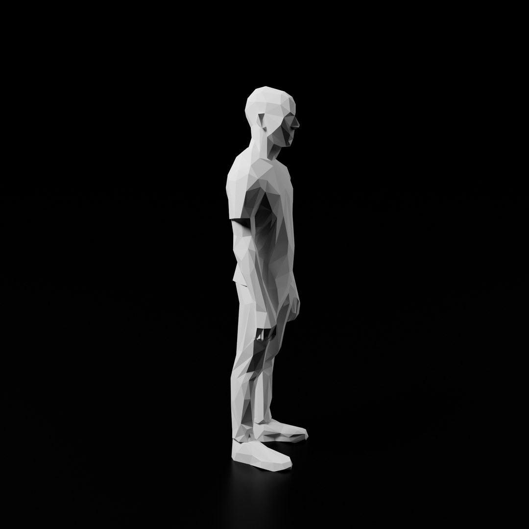 3D Lowpoly Person 12 https://p.turbosquid.com/ts-thumb/lx/2Q7JfD/sI/p12r3/png/1753993524/1920x1080/fit_q87/3eb534dc7aad5e6ed692cc1a6a42b5ee6df973ee/p12r3.jpg
