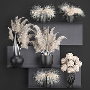 Collection of dried flowers in vases 91