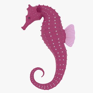 Seahorse  Rigged