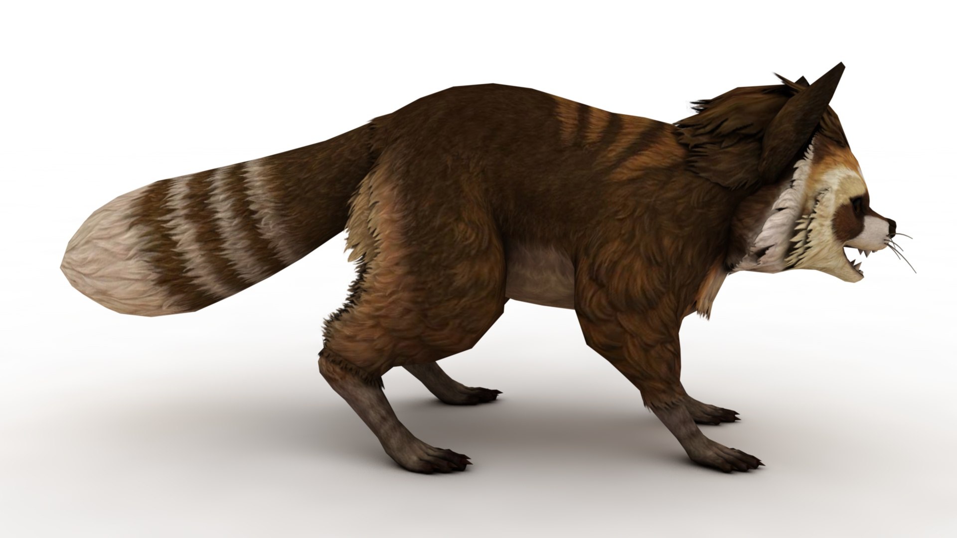 3D Raccoon Model - TurboSquid 2398251