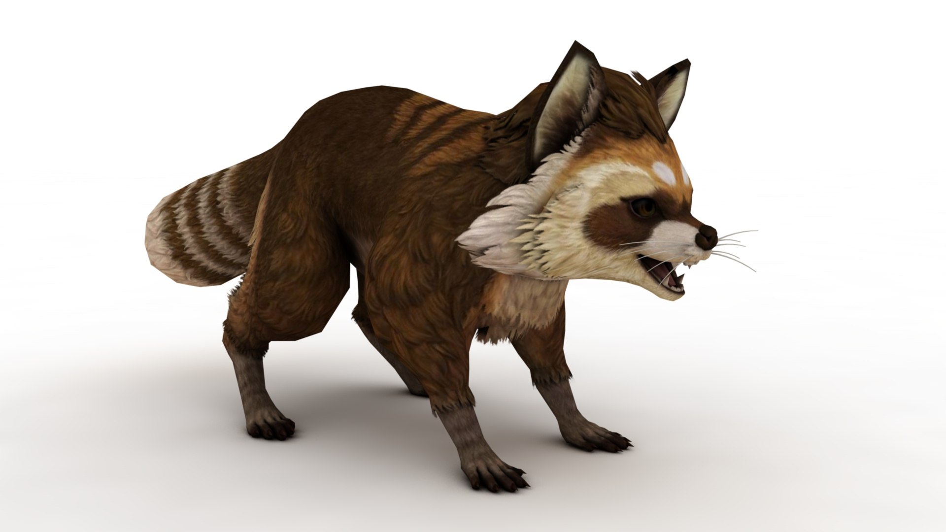 3D Raccoon Model - TurboSquid 2398251