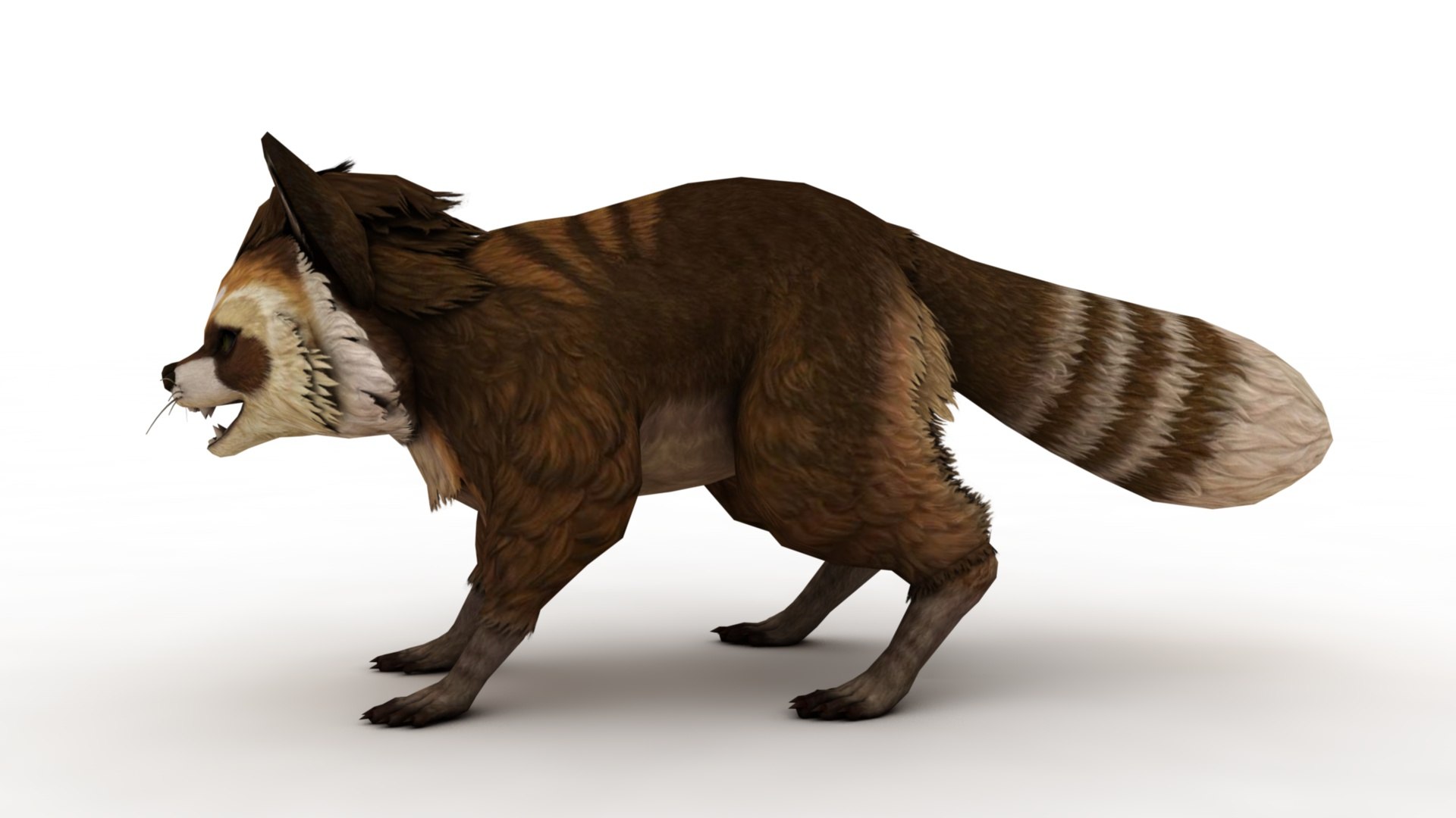 3D Raccoon Model - TurboSquid 2398251