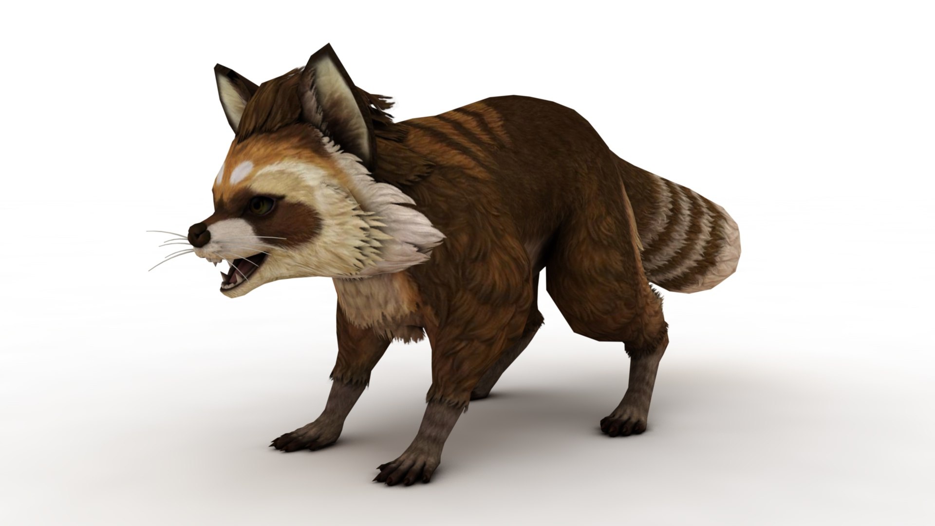 3D Raccoon Model - TurboSquid 2398251