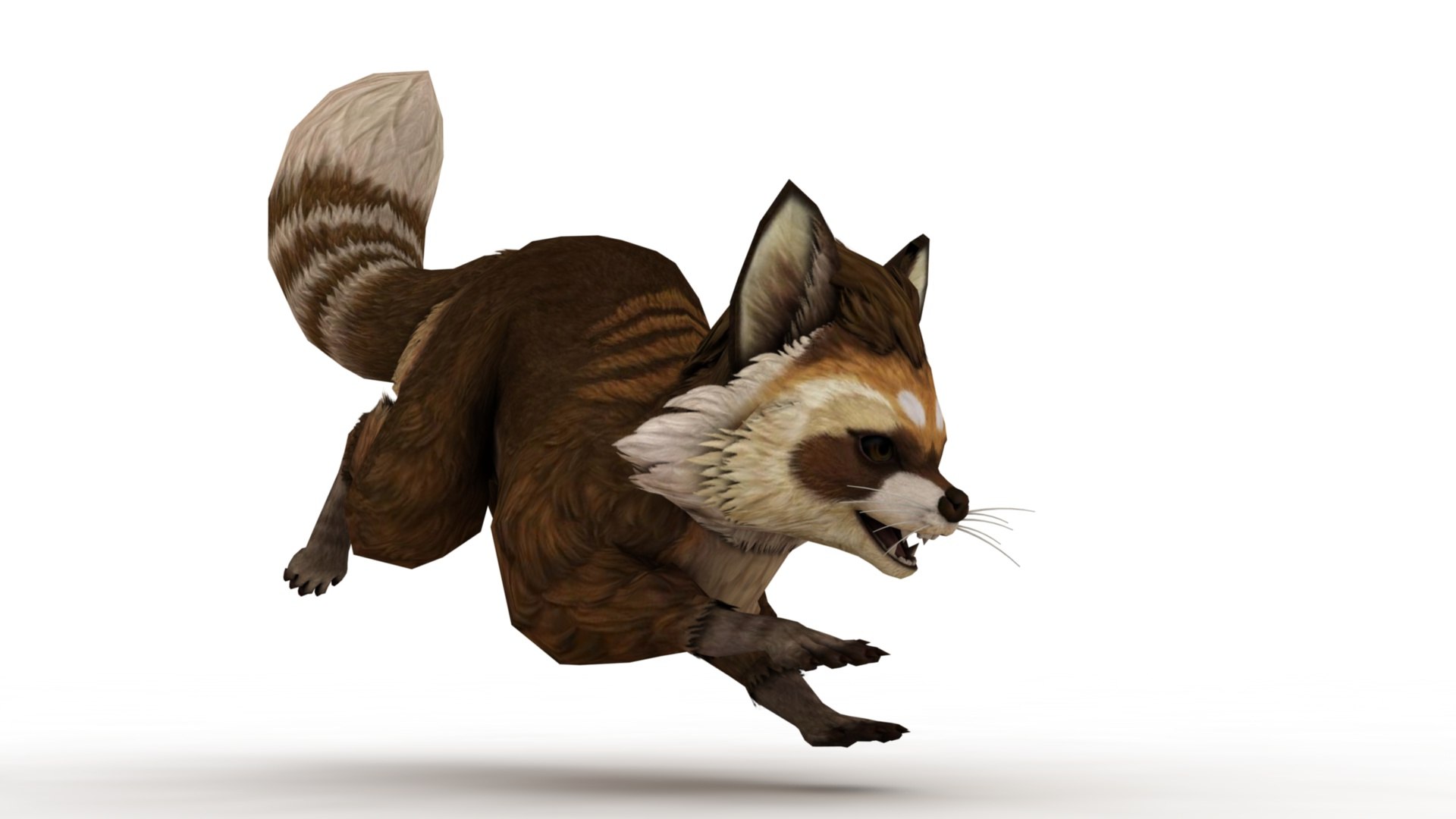 3D Raccoon Model - TurboSquid 2398251