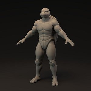 Ninja Turtle Base Mesh