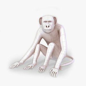 monkey 3D model