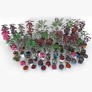 3D Interior plants pack