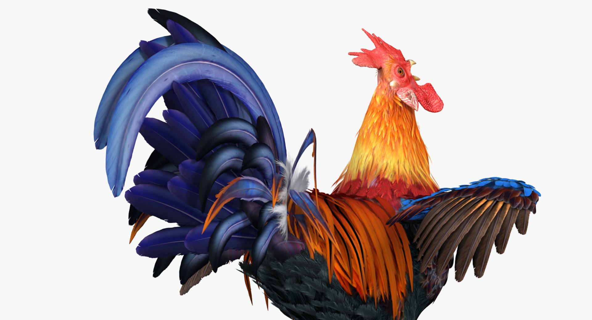 3d model cock crows https://p.turbosquid.com/ts-thumb/lx/nCPA69/OZakaaDM/cockcrowsvray3dmodel004/jpg/1479551900/1920x1080/fit_q87/f125901611698de45f71fbdc79b06c1396cfd7e4/cockcrowsvray3dmodel004.jpg