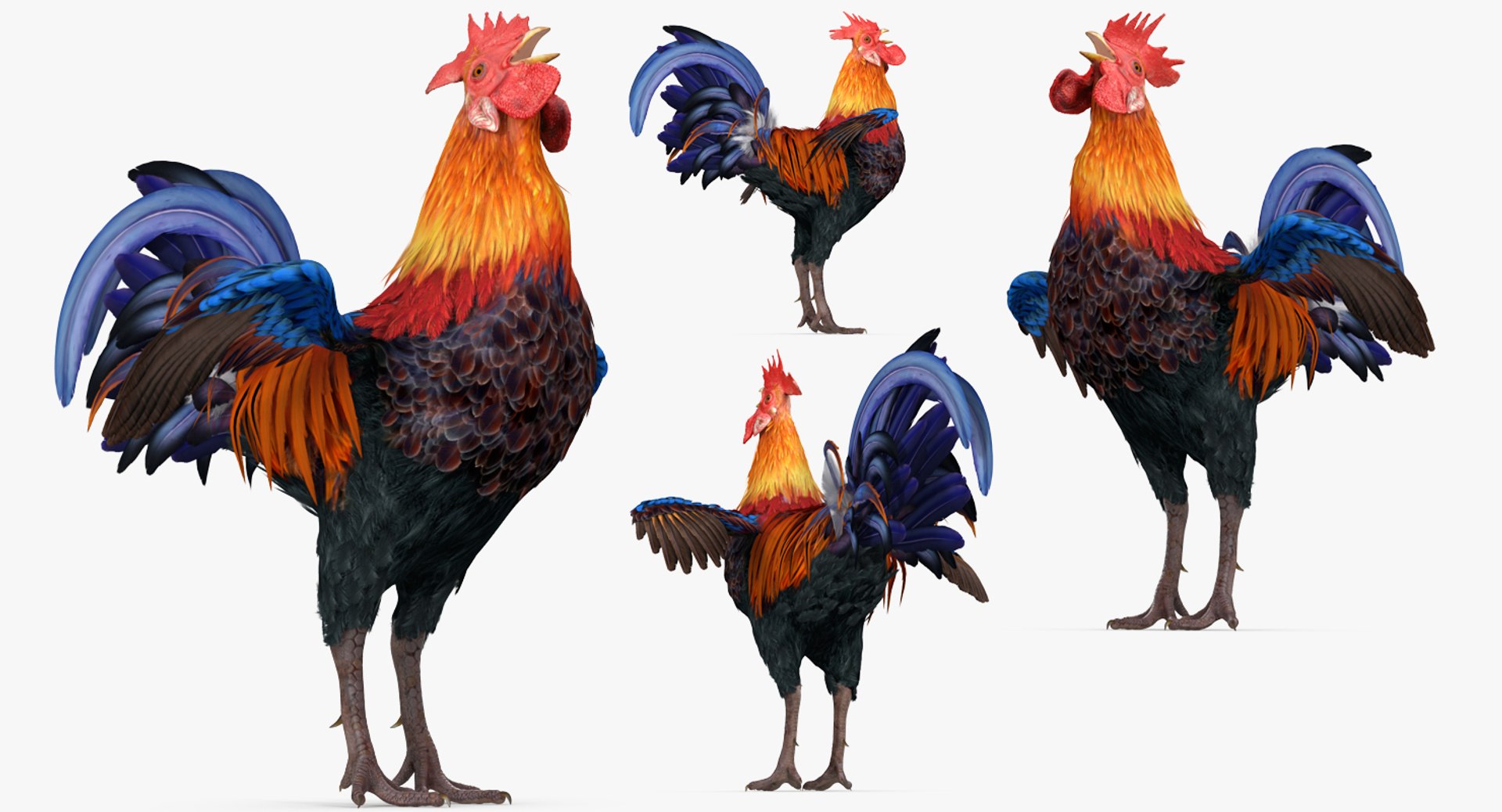 3d model cock crows https://p.turbosquid.com/ts-thumb/lx/nCPA69/eCjiLWgj/cockcrowsvray3dmodel002/jpg/1479551900/1920x1080/fit_q87/3defd2e2851c9d38327393e8f71103763448a289/cockcrowsvray3dmodel002.jpg