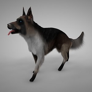 panda german shepherd l188 3D model