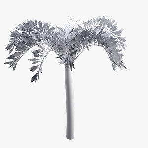 Palm tree