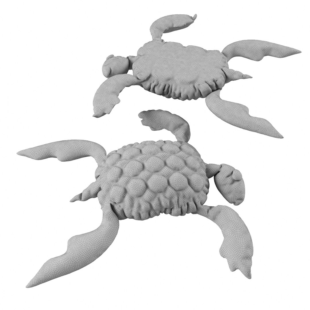 3d turtle toy