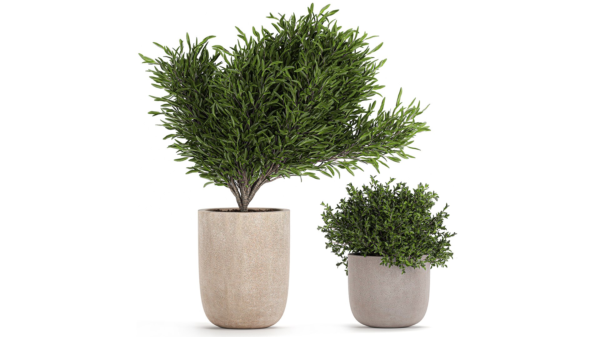 3D flower pot tree https://p.turbosquid.com/ts-thumb/ly/GEOmr3/Nw/1plants1201202103/jpg/1610554549/1920x1080/fit_q87/9636bb3eee6a06fcf8c79b45129bc9af35c6c8c4/1plants1201202103.jpg