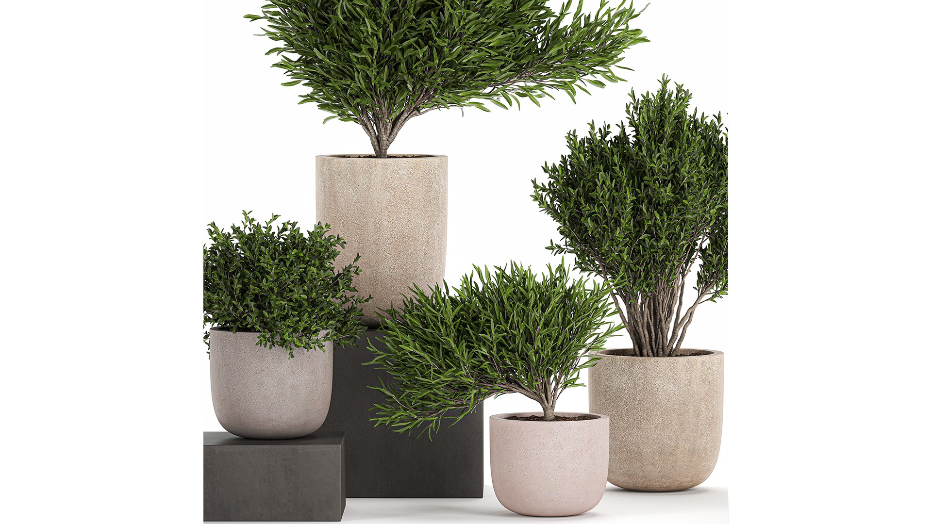 3D flower pot tree https://p.turbosquid.com/ts-thumb/ly/GEOmr3/Ob/1plants1201202101/jpg/1610554548/1920x1080/fit_q87/3975ce1d65718f5b5c0575f3510700ee5eeb741e/1plants1201202101.jpg