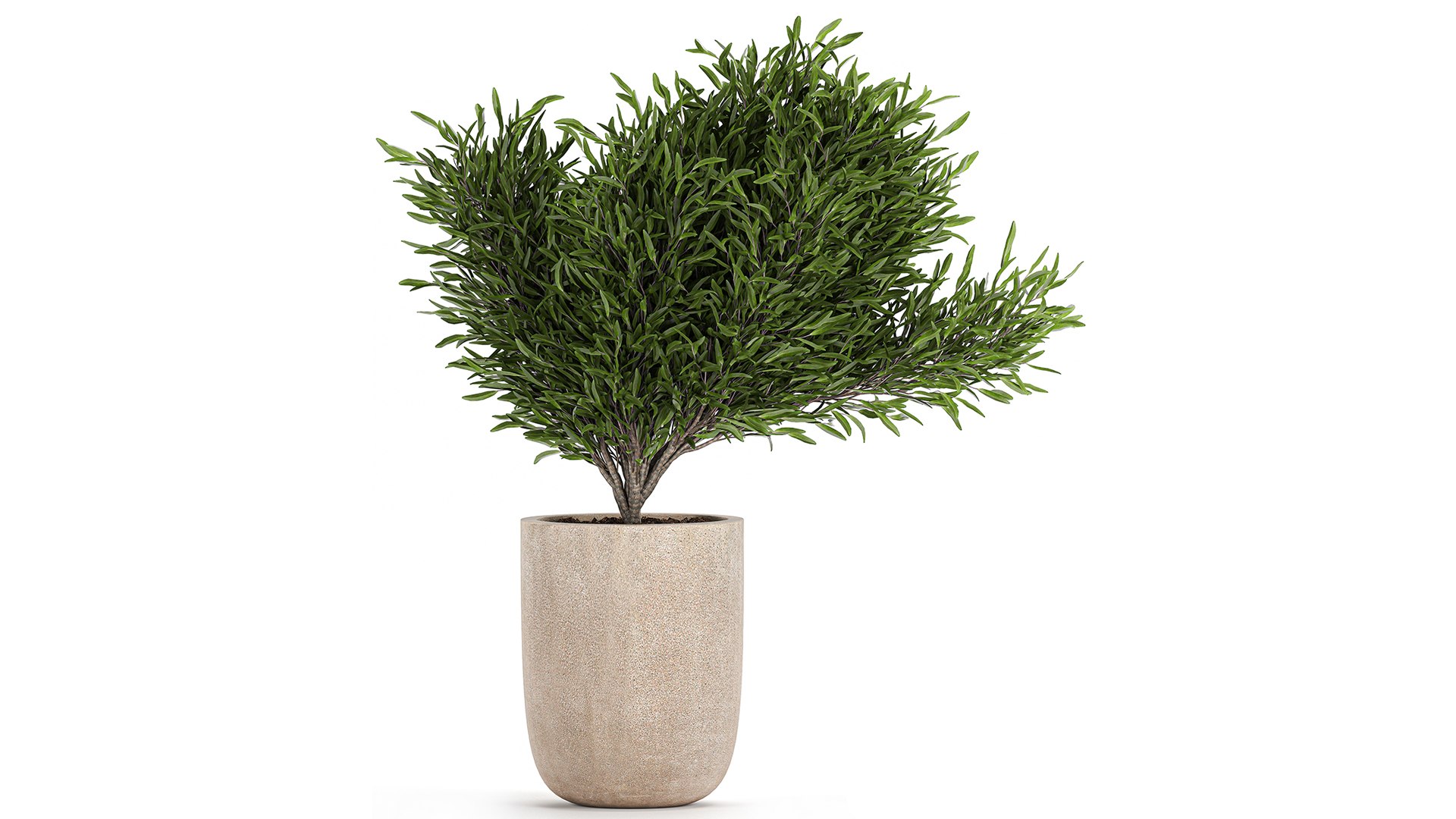3D flower pot tree https://p.turbosquid.com/ts-thumb/ly/GEOmr3/ZH/1plants1201202105/jpg/1610554555/1920x1080/fit_q87/27f760aa9a389bc0e47cc3b5039ae1ab64041f02/1plants1201202105.jpg