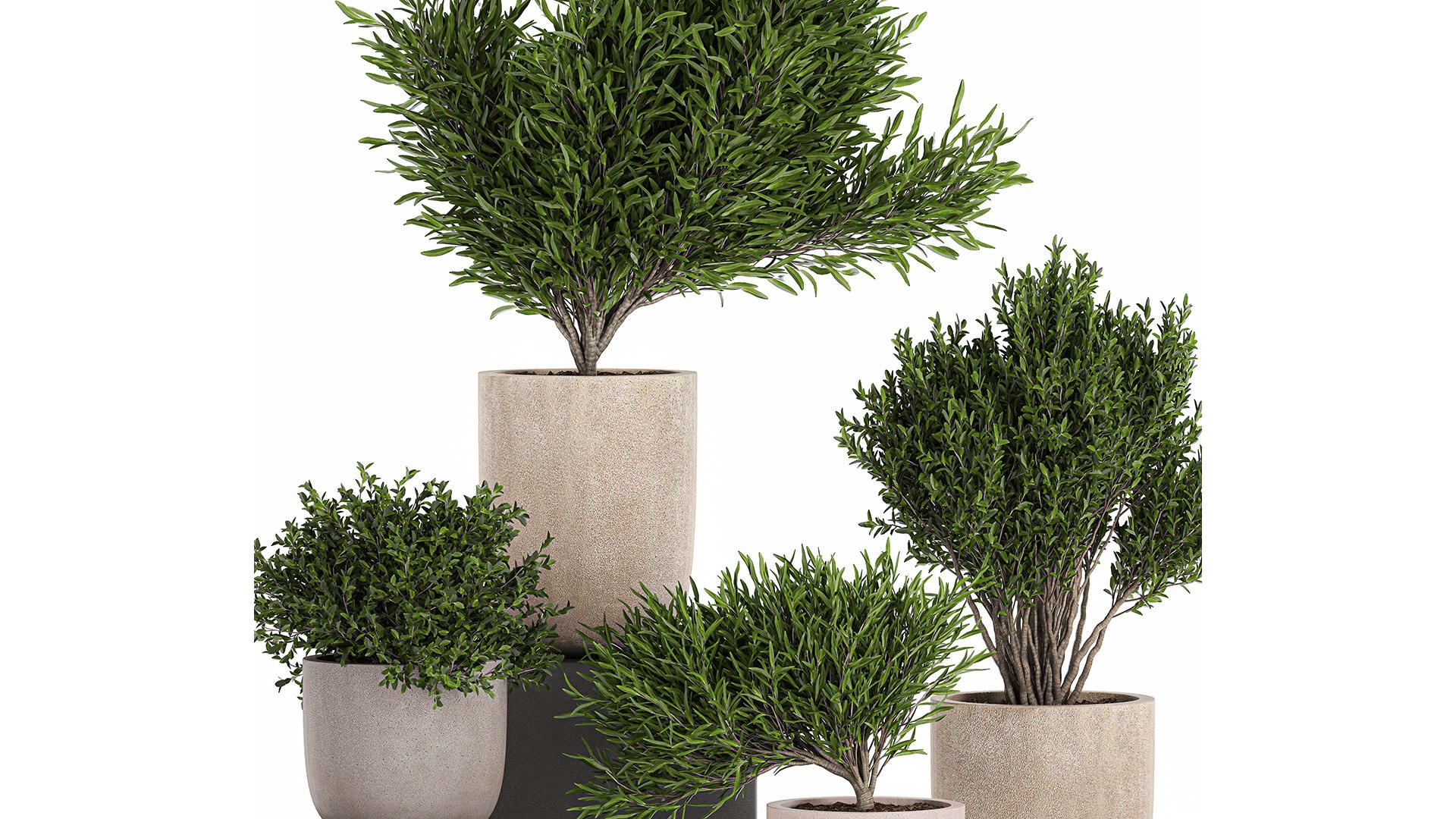3D flower pot tree https://p.turbosquid.com/ts-thumb/ly/GEOmr3/n5/1plants1201202102/jpg/1610554552/1920x1080/fit_q87/400bf8486462f82a9304bf744171463aa94a3e2f/1plants1201202102.jpg