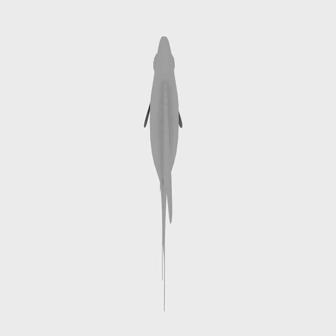 3D Sunfish - TurboSquid 1196864