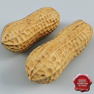 3d peanuts modelled