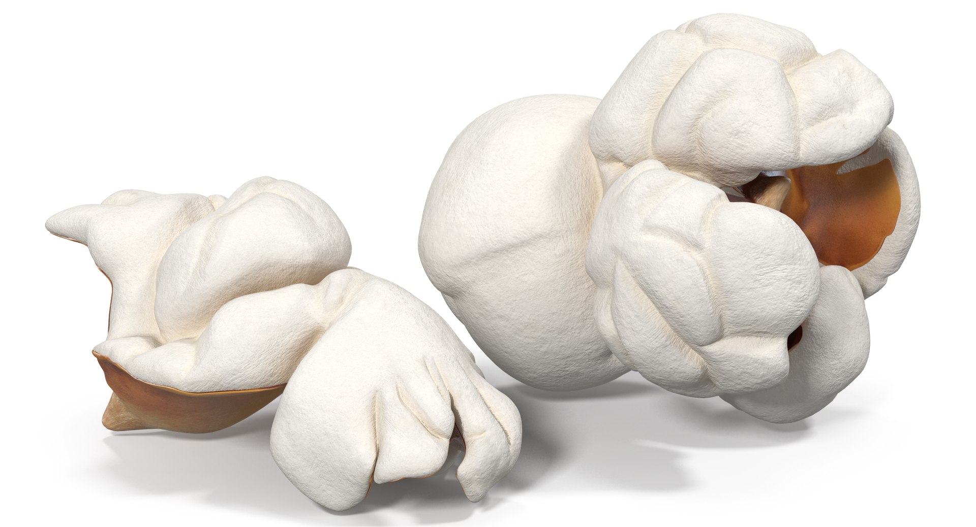 Popcorn 3 3d Model