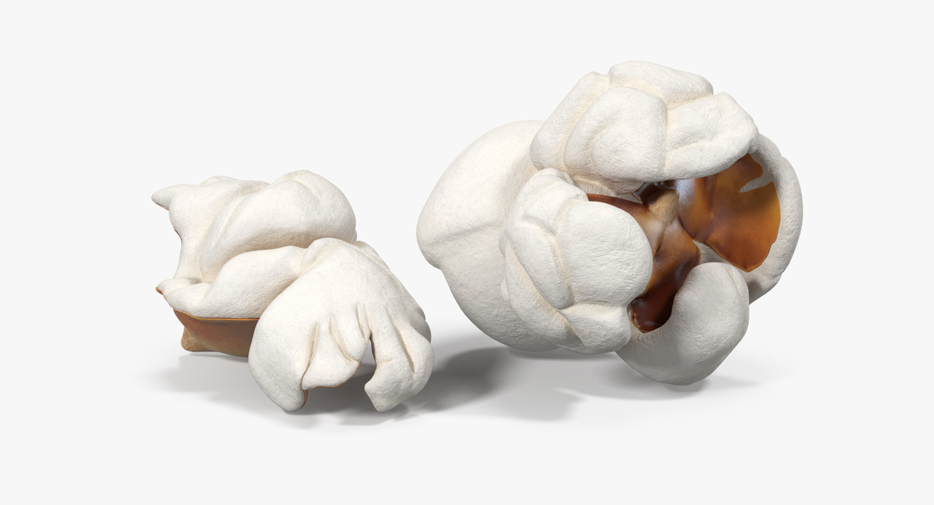 Popcorn 3 3d Model