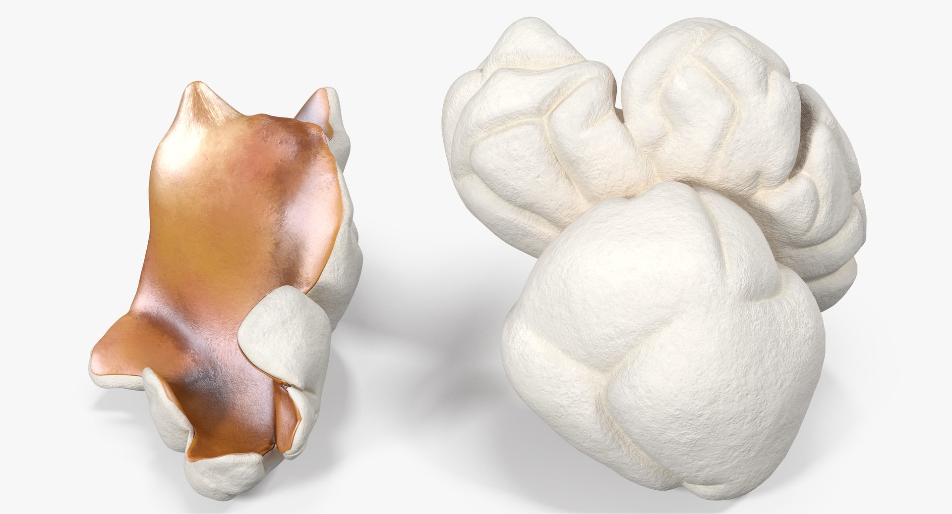 Popcorn 3 3d Model