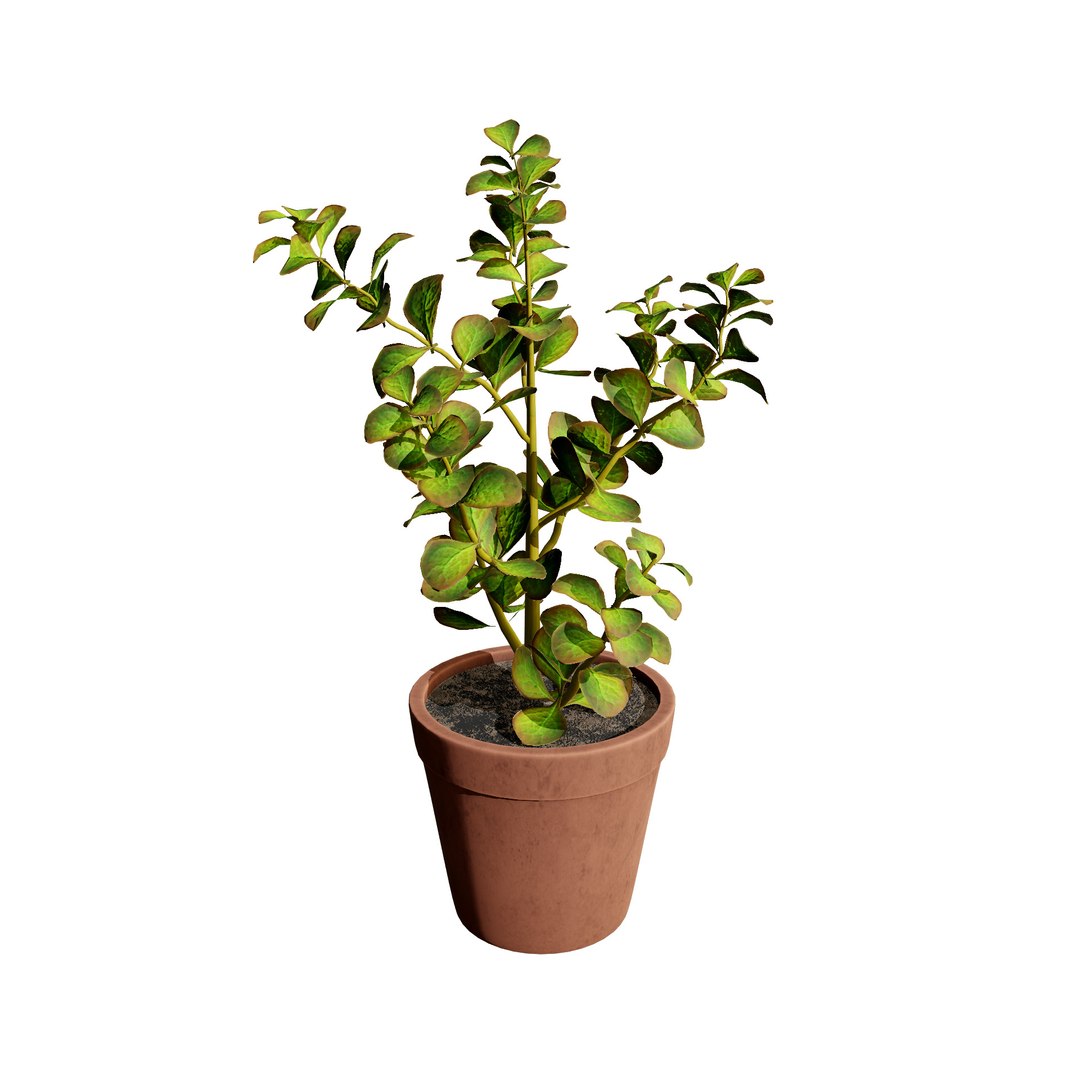 Desert in a Pot: 3D Cacti Models 3D model https://p.turbosquid.com/ts-thumb/ly/oIVL8D/8Q/z02plant_223/jpg/1718531241/1920x1080/fit_q87/8e7bc33e0cd090f1433356cad31c166e09eebd3e/z02plant_223.jpg