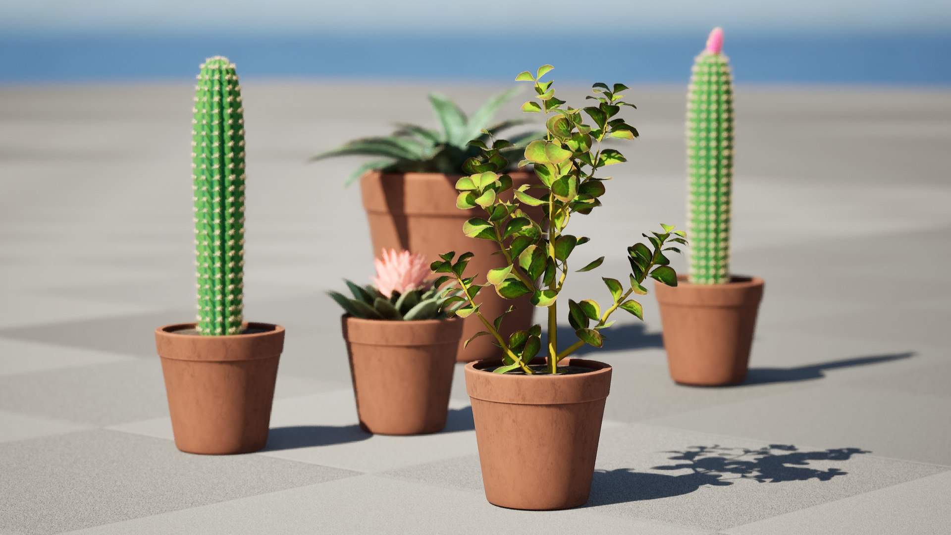 Desert in a Pot: 3D Cacti Models 3D model https://p.turbosquid.com/ts-thumb/ly/oIVL8D/En/highresscreenshot00006/jpg/1718531248/1920x1080/fit_q87/826fc16ea10c012eed59bda51c05697c9e415de2/highresscreenshot00006.jpg