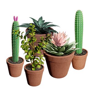 Desert in a Pot: 3D Cacti Models