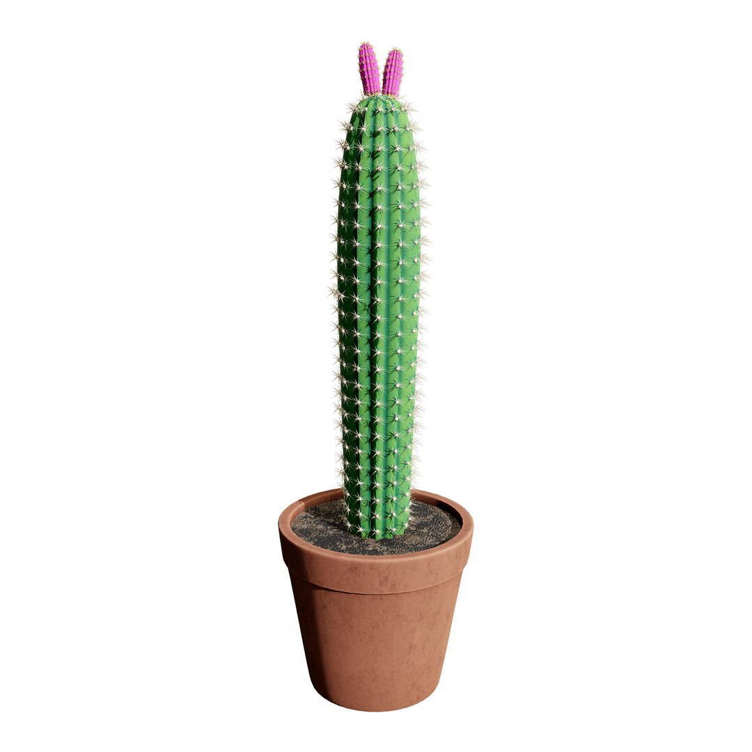 Desert in a Pot: 3D Cacti Models 3D model https://p.turbosquid.com/ts-thumb/ly/oIVL8D/NV/z033plant_5363/jpg/1718531242/1920x1080/fit_q87/f68efd6504ec88768af492ebe1b6cd19d8630e78/z033plant_5363.jpg