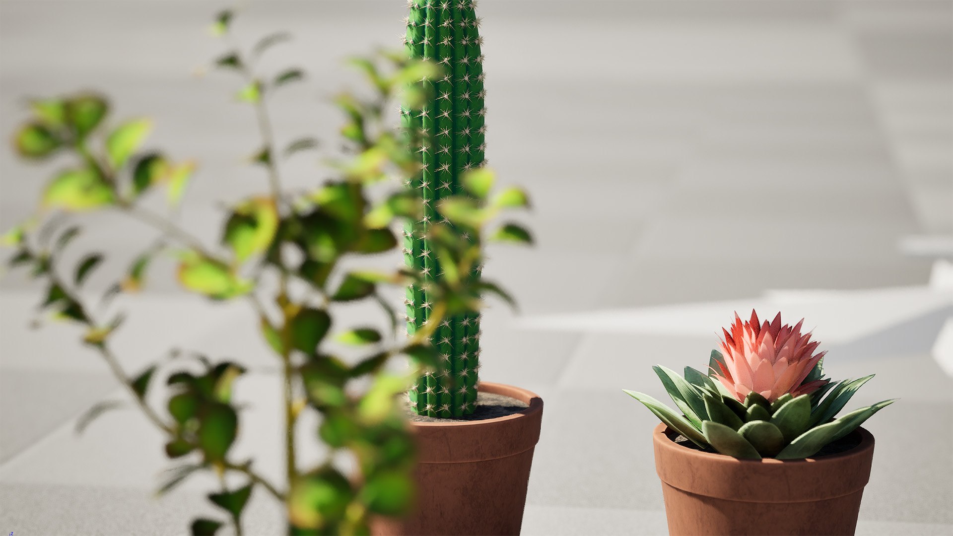 Desert in a Pot: 3D Cacti Models 3D model https://p.turbosquid.com/ts-thumb/ly/oIVL8D/gJ/highresscreenshot00003/jpg/1718531246/1920x1080/fit_q87/acbc7f9cbae1d2abcf0f17f64631caa8271851dc/highresscreenshot00003.jpg