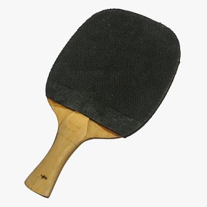 Table Tennis Paddle 3D