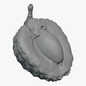 Half Lychee 01 - For 3D Print 3D model