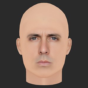 Low Poly Olivier Raynal Head 3D model