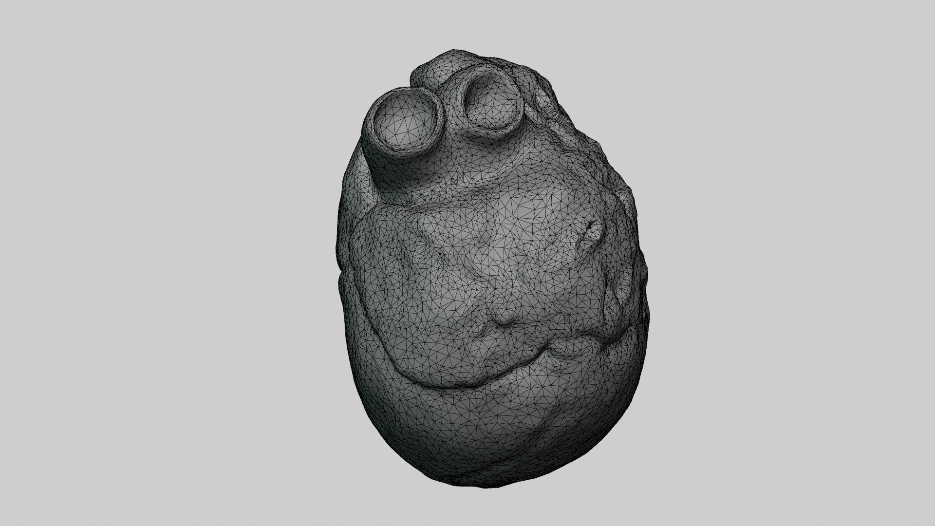 3D Heart https://p.turbosquid.com/ts-thumb/ly/zBQwbf/M6/hh4/jpg/1691945727/1920x1080/fit_q87/487df11c191dd24b8c4c4a23b654c68a273281d8/hh4.jpg