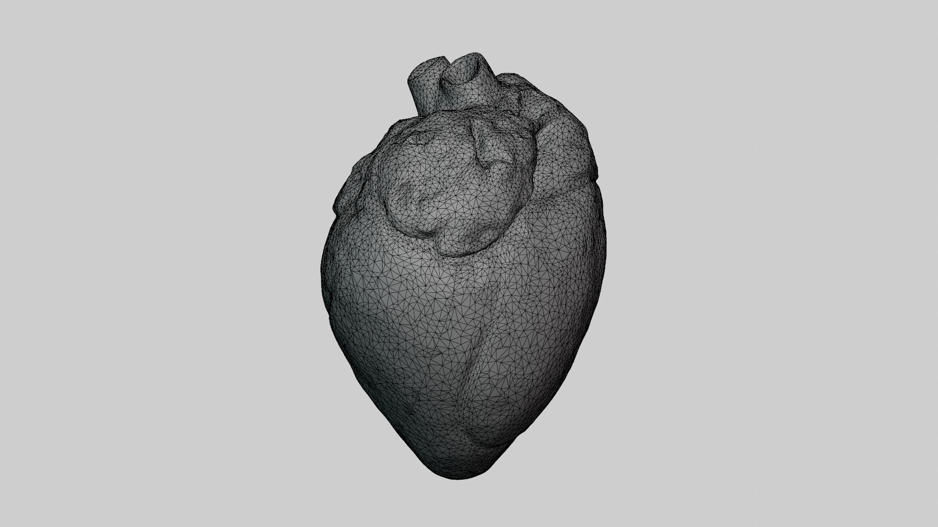 3d Heart - Turbosquid 2110685