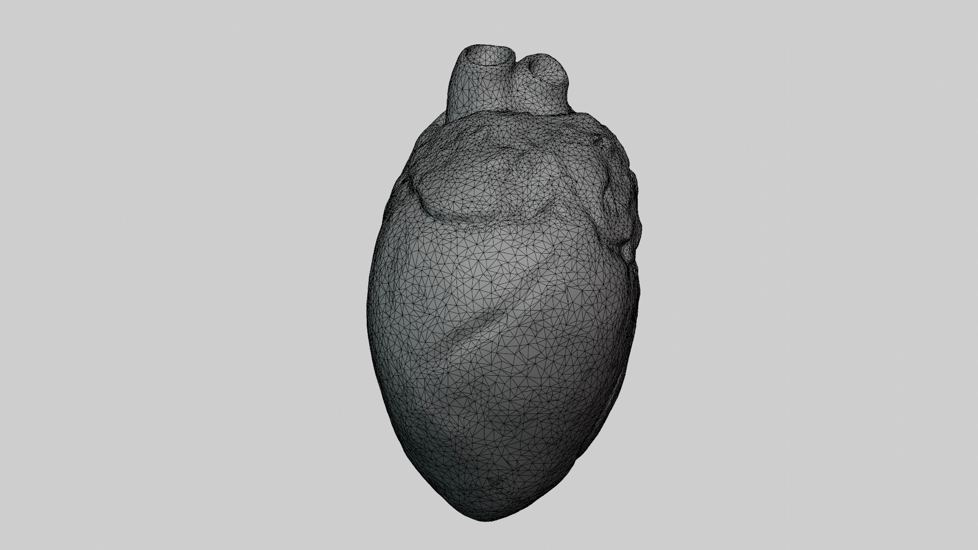 3D Heart https://p.turbosquid.com/ts-thumb/ly/zBQwbf/lV/hh3/jpg/1691945727/1920x1080/fit_q87/1c572e22d63d26d744a7dbb5bc7ea5d0ec395da6/hh3.jpg