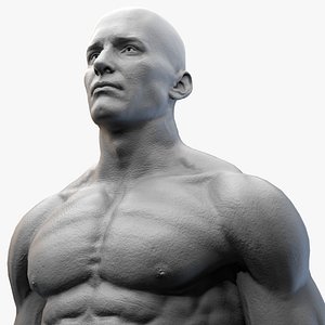 3D Male Basemesh -  Clean topology Base Mesh  with detailed skin
