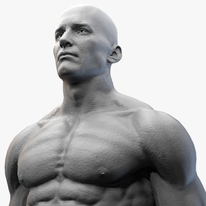 Male Basemesh -  Clean topology Base Mesh  with detailed skin